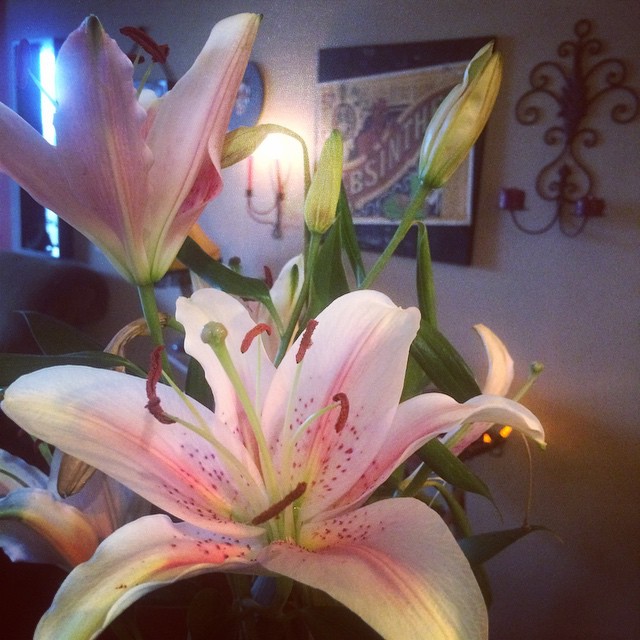 10801863_739944882721232_8879221708816747819_n